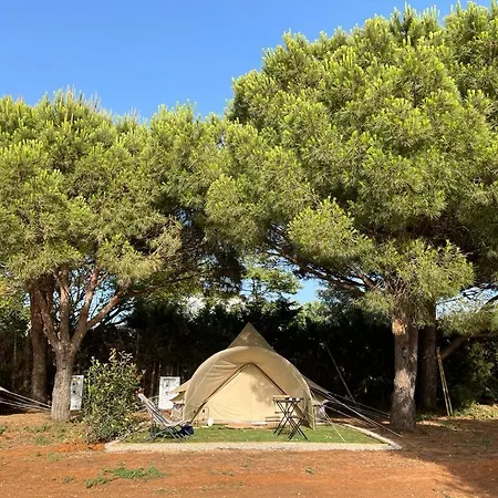 Glamping La Mimosa Conil