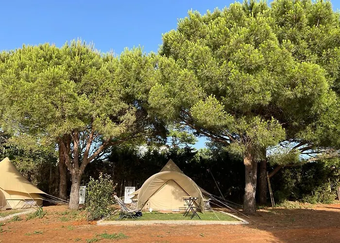Glamping La Mimosa Conil
