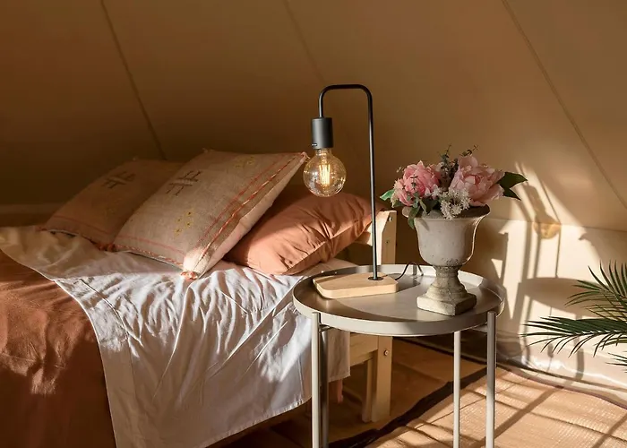 캠프장 Glamping La Mimosa Conil