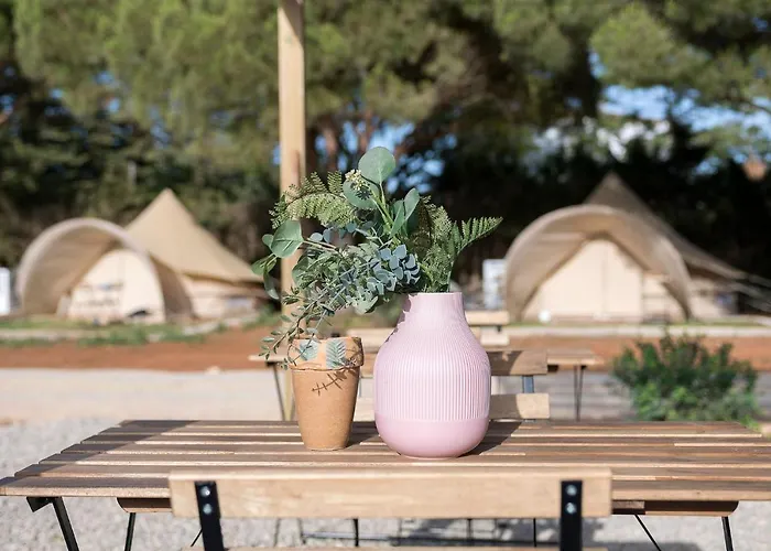 Glamping La Mimosa Conil 캠프장 *