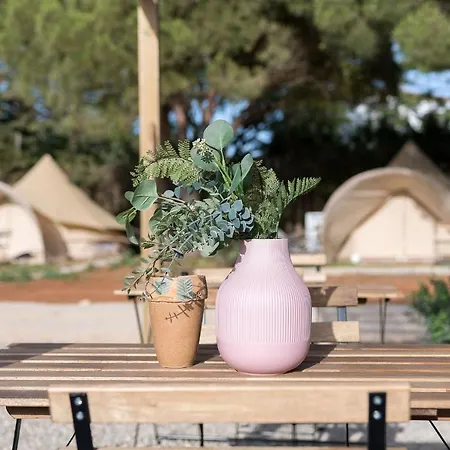 Glamping La Mimosa Conil אתר קמפינג *
